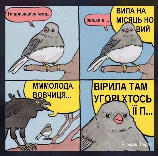 610c3b6ab3b4356d78a0b.webp