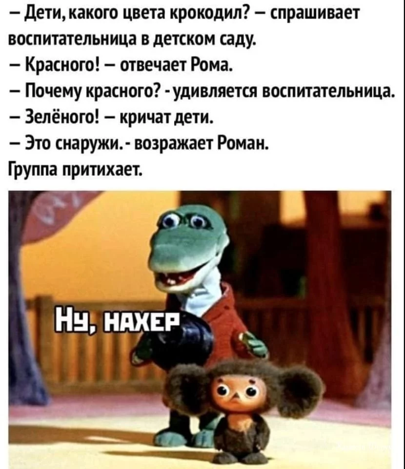 611420b2aaf0f615206a0b5.webp