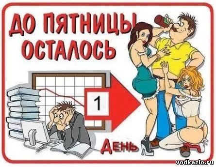 61300.webp