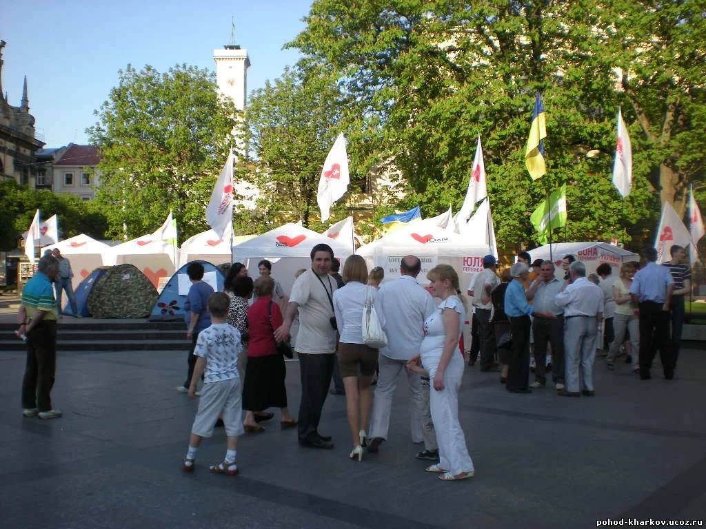 61353869.webp