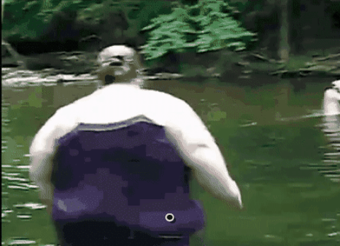 61407723d38767deb5a97.gif