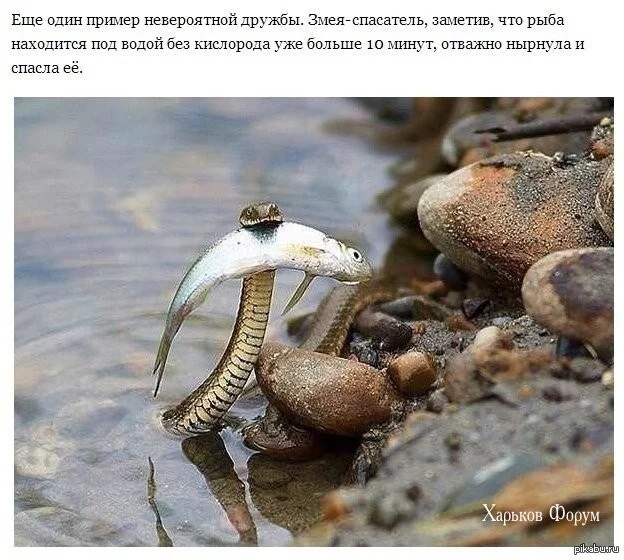 614b632d07c3e269d7c3.webp