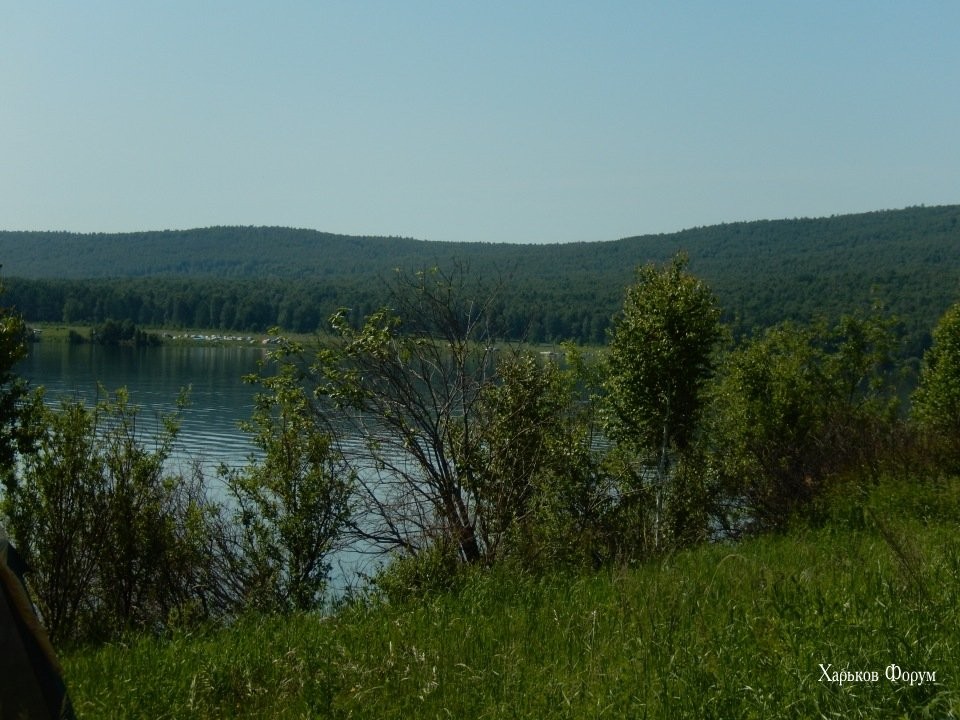 6150a8ec768a4cc3.jpg