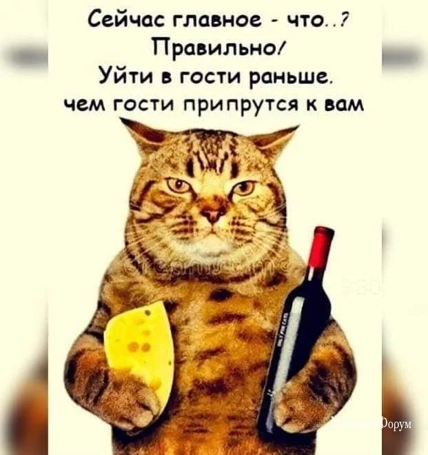 6156cb05ebdcd0349.webp