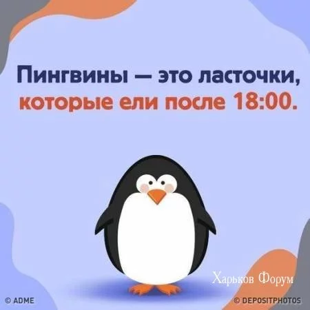 61615d37d5717ba43b698.webp