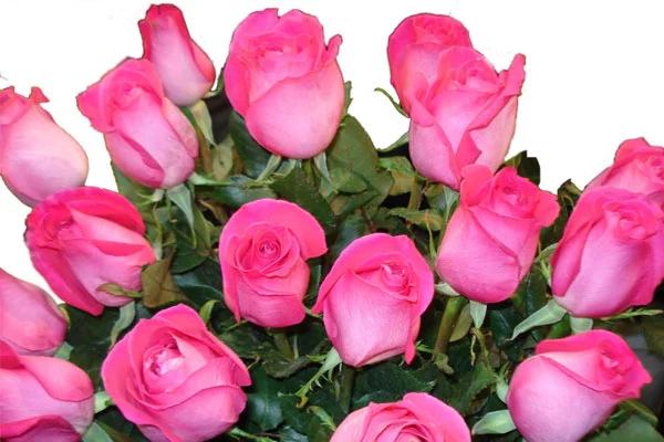 6168501.webp