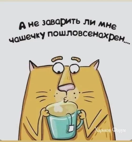 6169e70bc008a9e96.webp