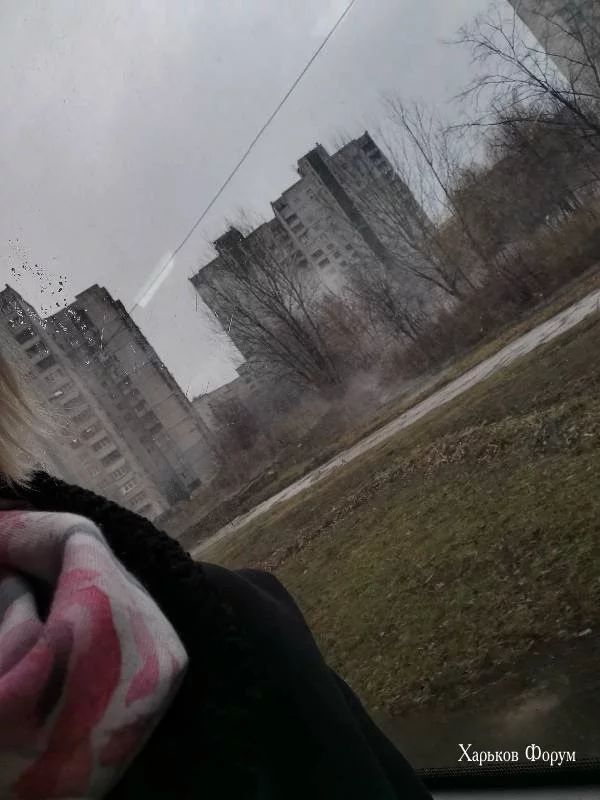 616a3e37c7cc843a03a1.webp