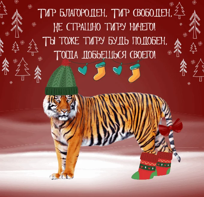 616e6111bf4ef.webp