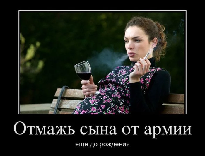 61792.webp
