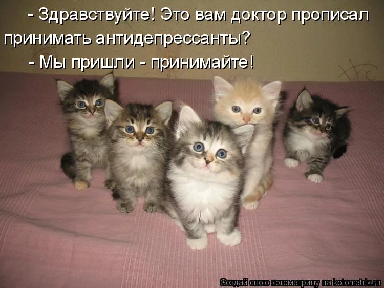 617a25826432663096f74e252ae524a4.webp