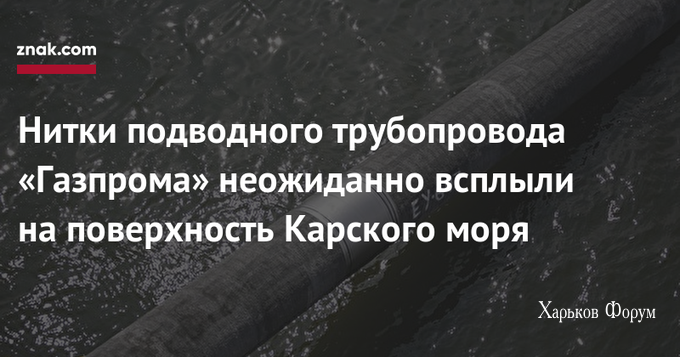 617dbc63579f4d45ed2246.png