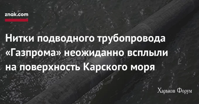 617dbc63579f4d45ed2246.webp