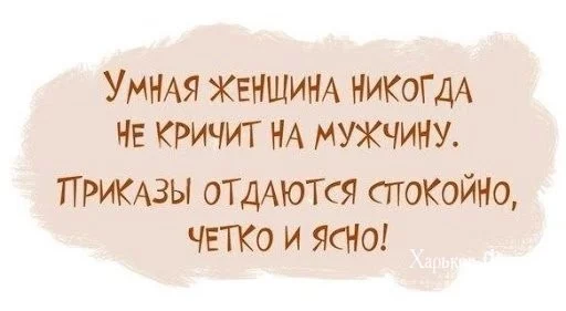 61814573bc6f95838c44.webp