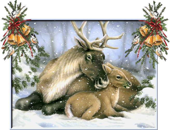 6190b31a8f47aa020228.gif