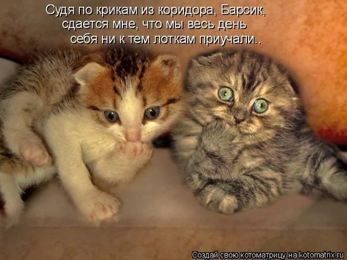 61959782_317982.webp