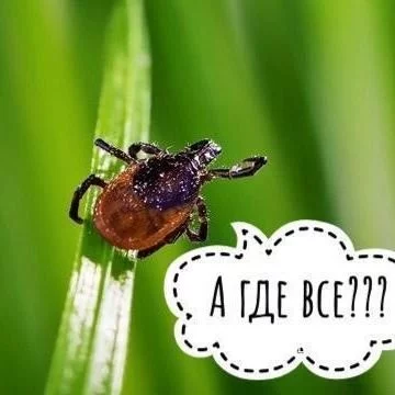 619d08b404d74cebae2160ee.webp