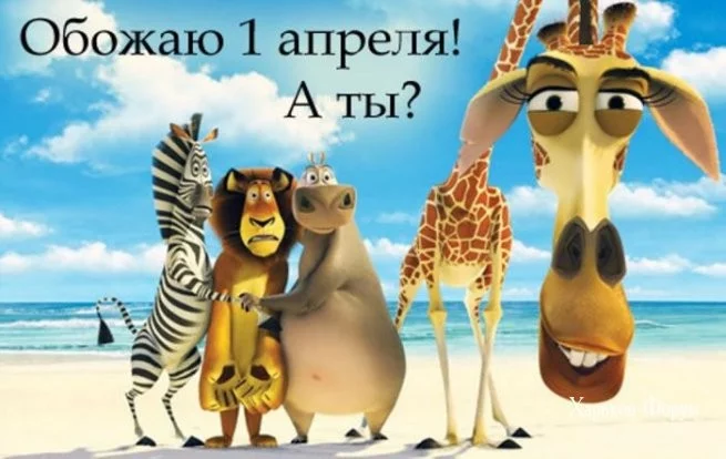 61a57521f7af6a69ad131b6.webp