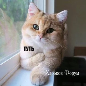 61b9422e00d9b99fd223e3.webp