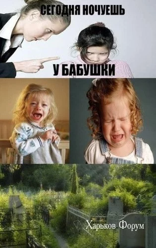 61bc8f9f273116fd20f.webp