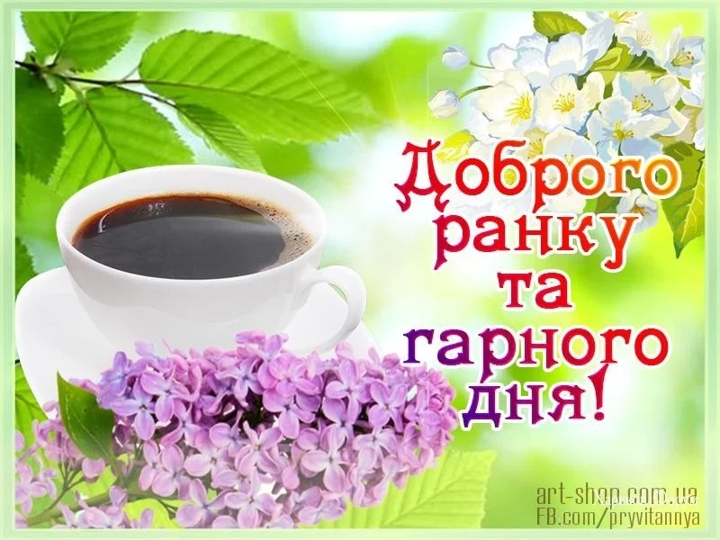 61c1daa5774db1a3734.webp