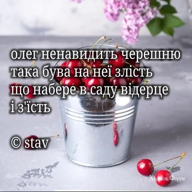 61cee2cc54faee33892e95.webp
