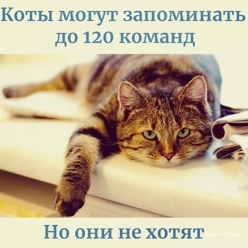 61d8f56295fff03d61f7bc34.webp