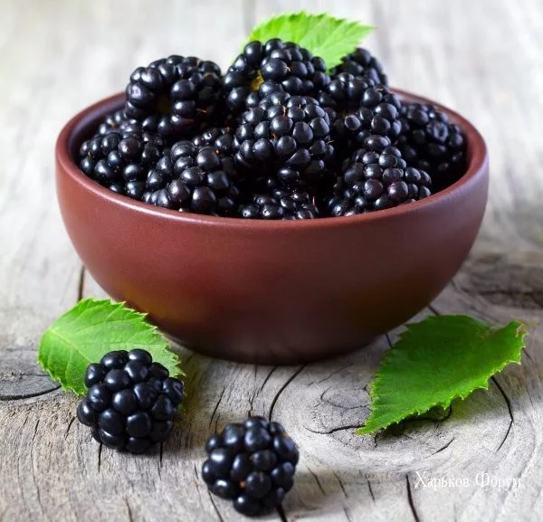61ec5e13b831954c1a.webp