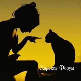 61f2836bbd511c4b68c.webp