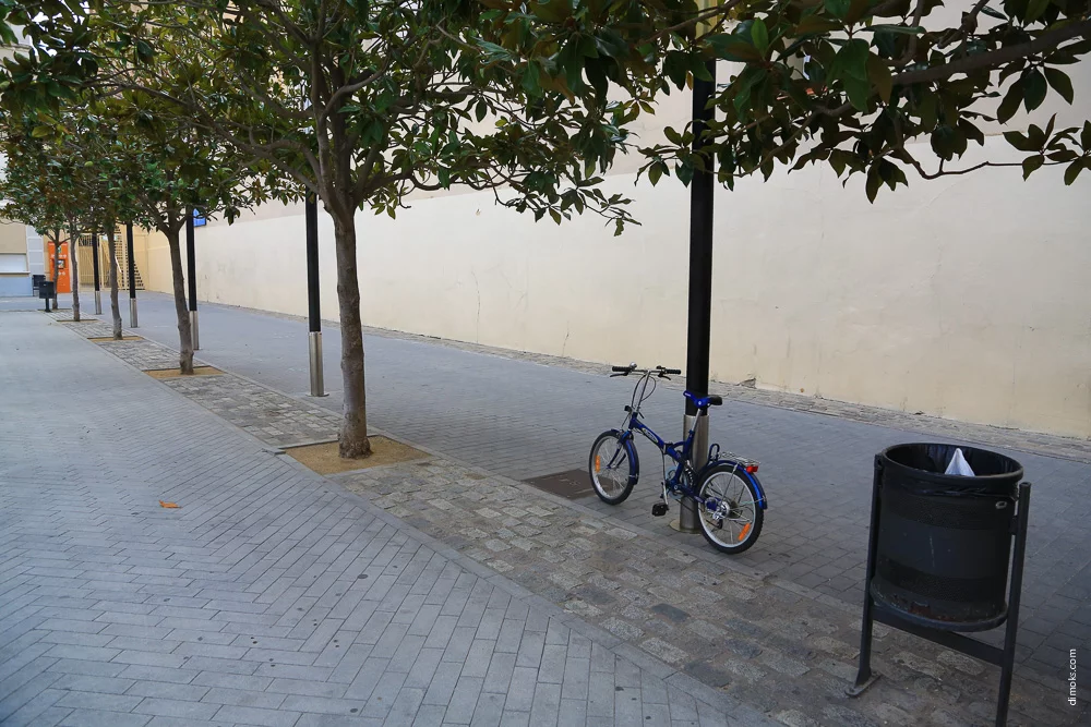 62.webp