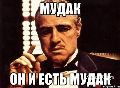6228b75ae7f186e7b933d4.webp