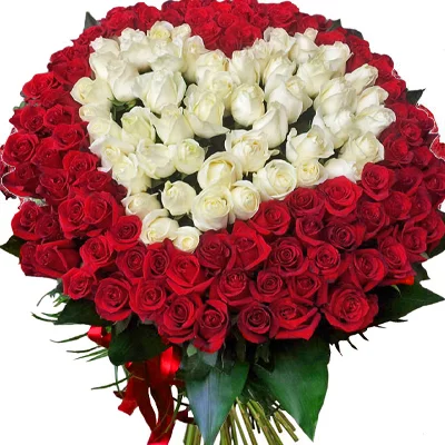 622_0.webp