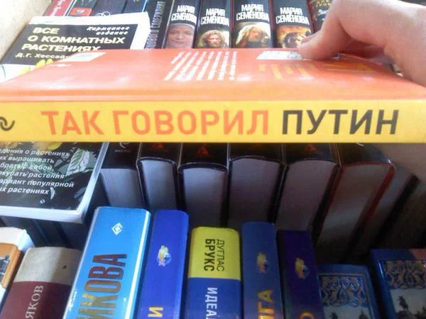 6240584_original.webp