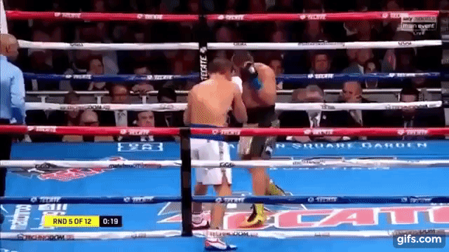 624e3c6842a868fa0cf.gif