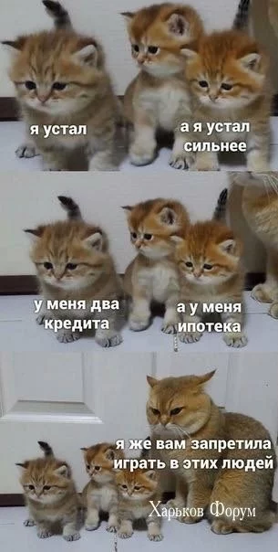 624e49312edba24d56663e.webp