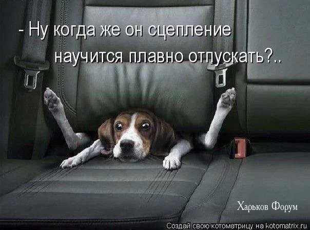 6259b74c0eb67cf6653e9.webp