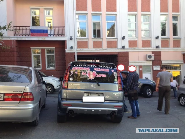 6287943.webp