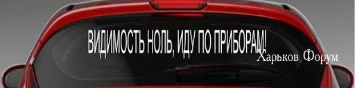 6288b5fe3131487a57010c.webp