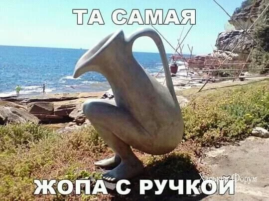 6291f6455833b023.webp