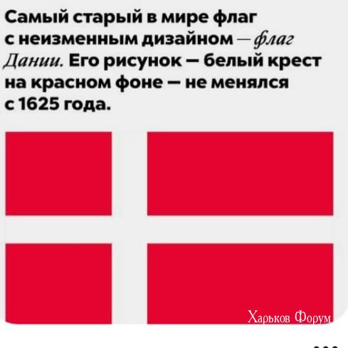 629528f0c2baa20a51c41fc.jpg