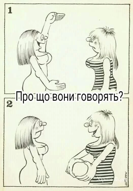 62b33bb59d7c7281.webp