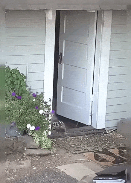 62b52e4b0a7e739889d6696.gif