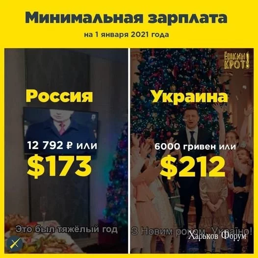 62c86478b501540595c.webp