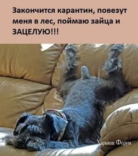 62ca86204ecf95c4130.webp