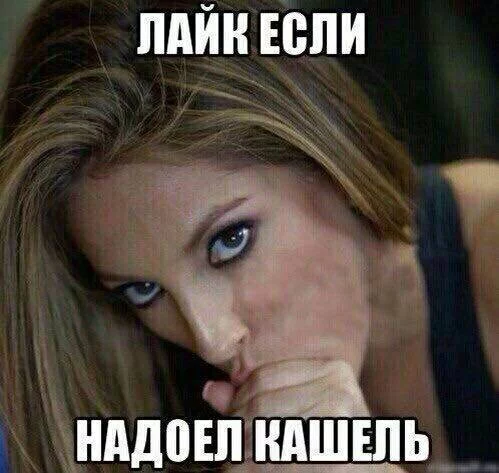 62d9c59ccc4847269599fc790e3eb0cc.webp