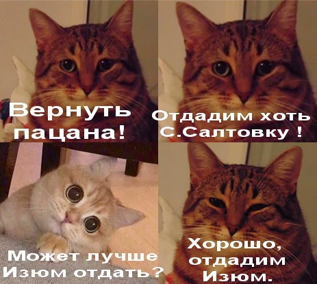 62e3485293e02b84e397e3cdaa7bb0c4.webp