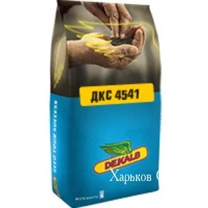62f0a3b7c12030e3.webp