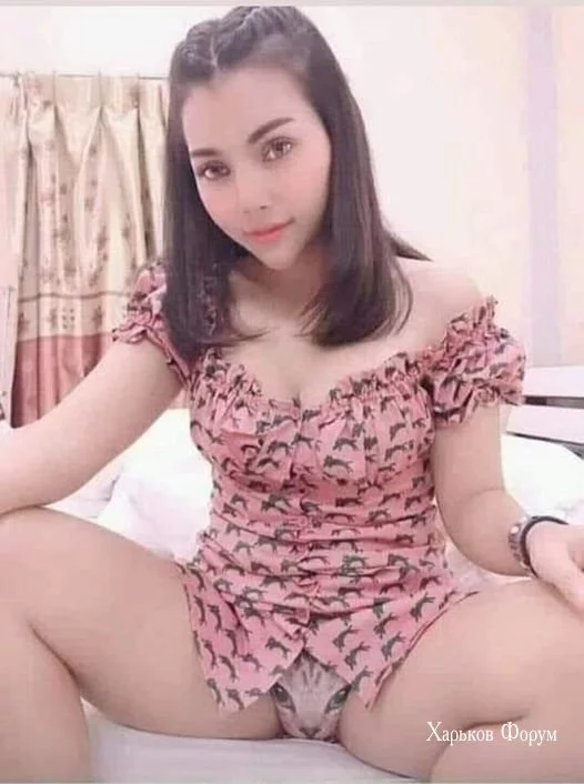 62fc169dd3254072628b.webp