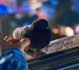 6309182ed52d7fc0806c4718c48e47f11818dca6.gif