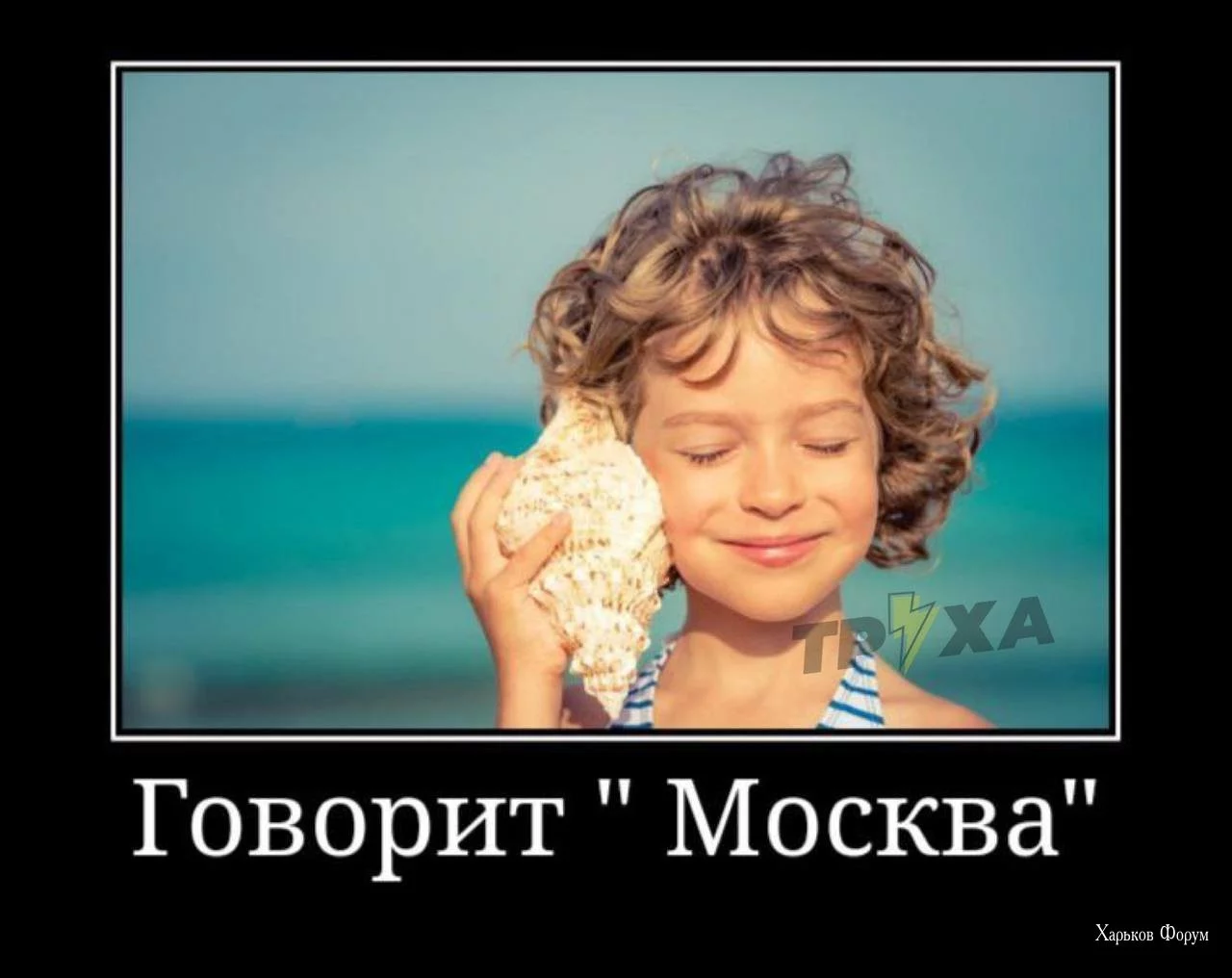 631215165ca278446f9.webp